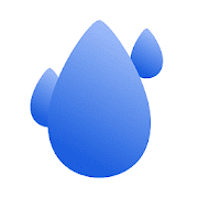 Скачать RainViewer 4.4.2 Mod (Premium)