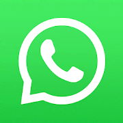 Скачать WhatsApp Messenger 2.24.9.73 Мод (полная версия)