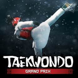 Скачать Taekwondo Grand Prix 2.1.6 (Mod Money)